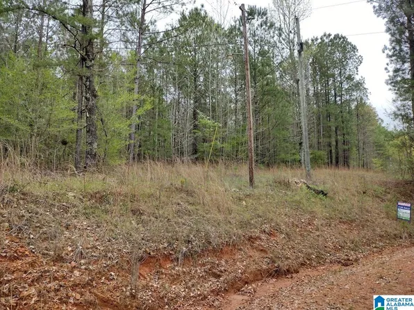 0 County Road 821, Roanoke, AL 36274