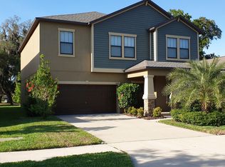 14273 Blue Dasher Dr, Lithia, FL 33547