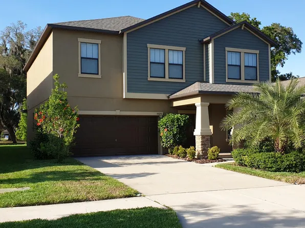 14273 Blue Dasher Dr, Lithia, FL 33547