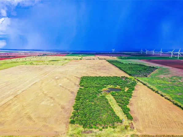 County Road 291, Weinert, TX 76388