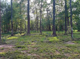 1-B Clinton Allen Rd #A, Denham Springs, LA 70706
