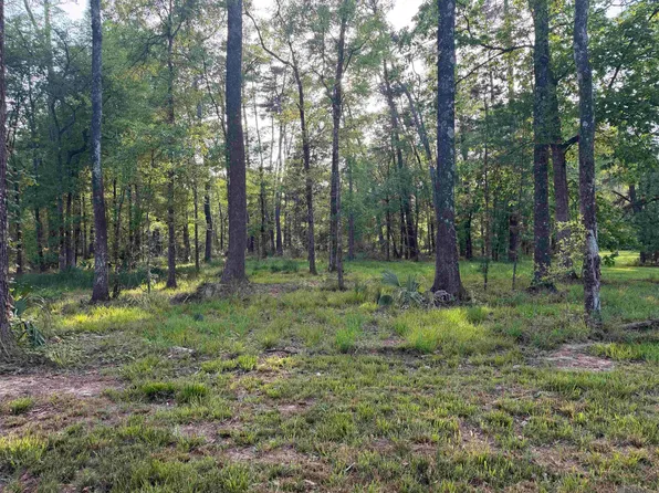 1-B Clinton Allen Rd #A, Denham Springs, LA 70706