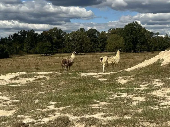 1925 Bunnlevel Erwin Rd Lot 7/8, Bunnlevel, NC 28323