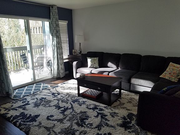 New grey couch and rug