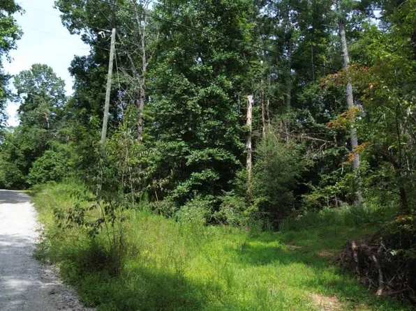 0 Mitchell Rd, Dahlonega, GA 30533