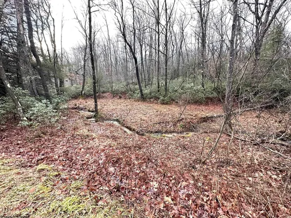 48 Azalea Ln, Terra Alta, WV 26764
