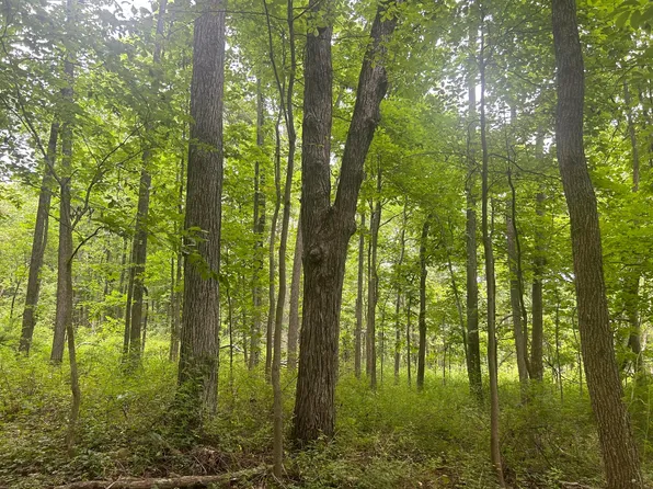 0 Buck Hill Rd NE, Frazeysburg, OH 43822