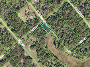 LOT 17 Smallman St LOT 17, Webster, FL 33597
