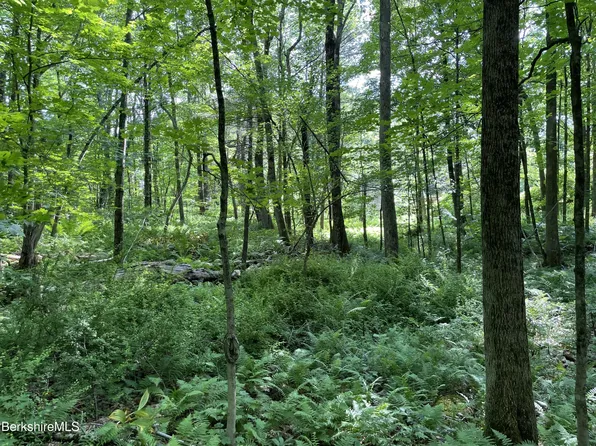 0 Beartown Mountain Rd, Monterey, MA 01245