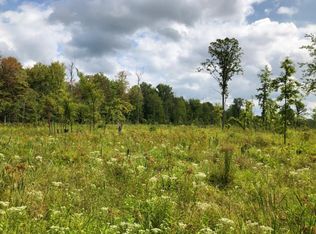 Mushroom Rd, Caro, MI 48723