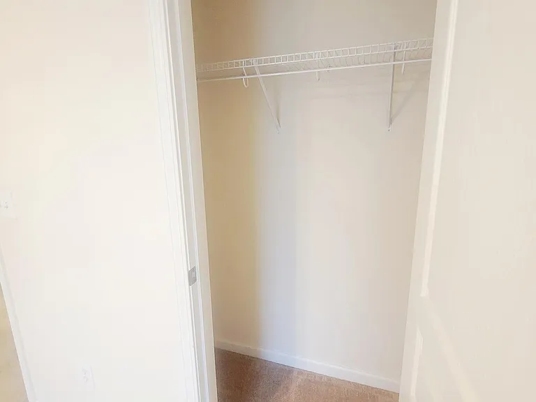 8706 Wild Magnolia Dr — Photo 42