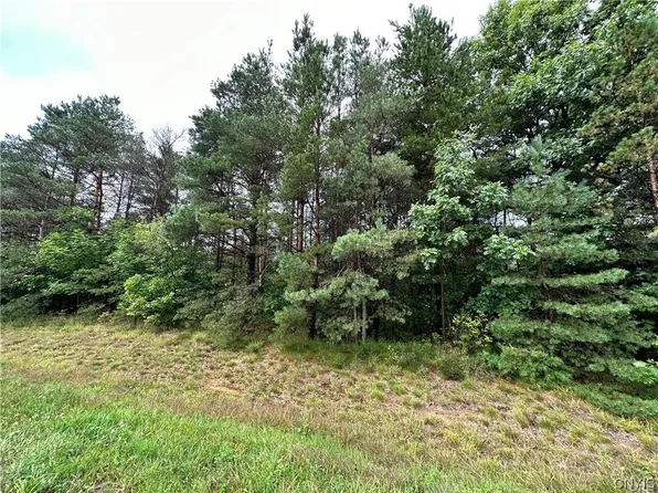 0 County Route 36, Carthage, NY 13619