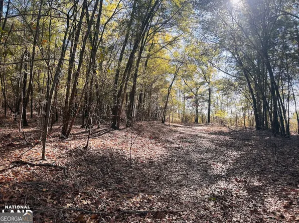 0 Harrison Mill Rd, Coleman, GA 39836