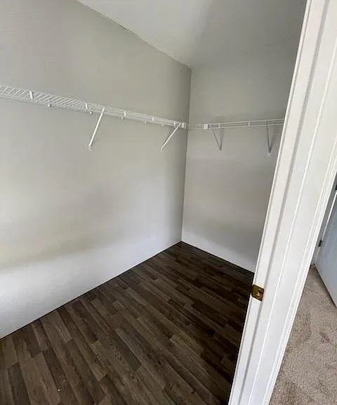 717 Gazania Ln — Photo 12