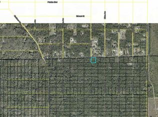 Division St, Hastings, FL 32145