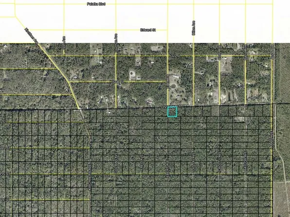 Division St, Hastings, FL 32145
