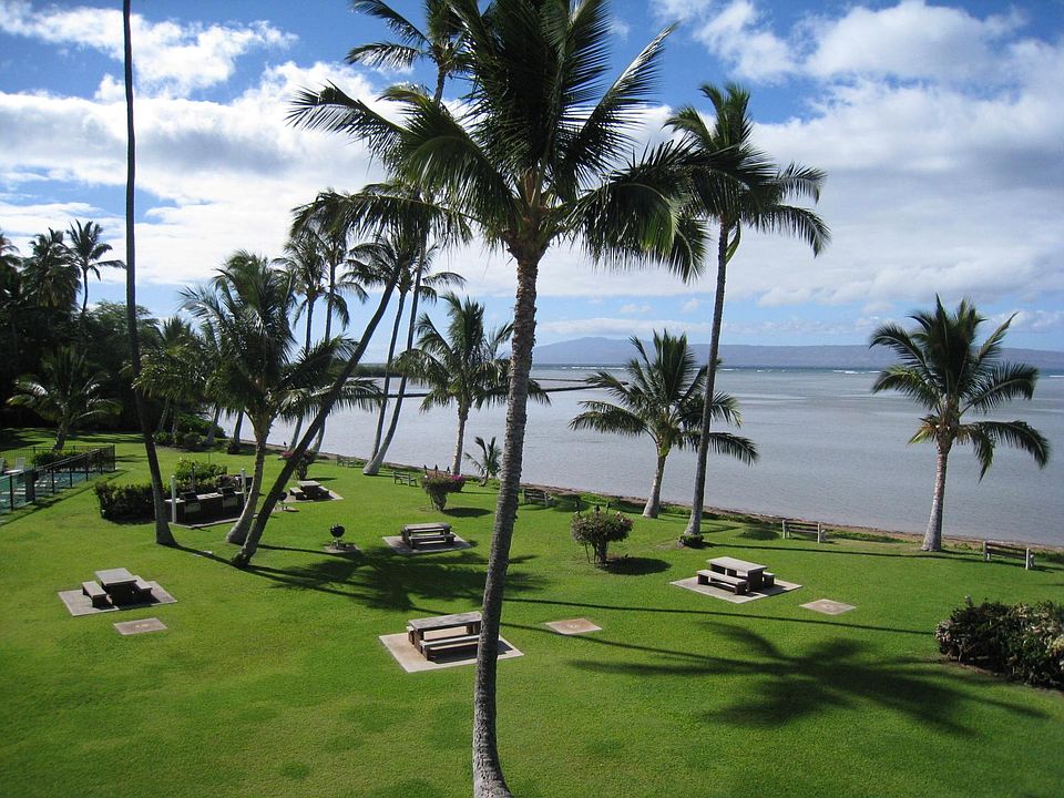 1st image of 1000 Kamehameha V Hwy #306A