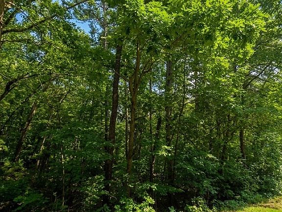 3rd image of 0 Ridgemore Cir Lot 12