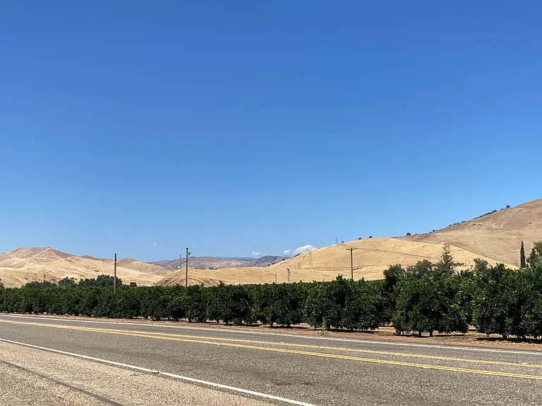 N Piedra Rd — Photo 13