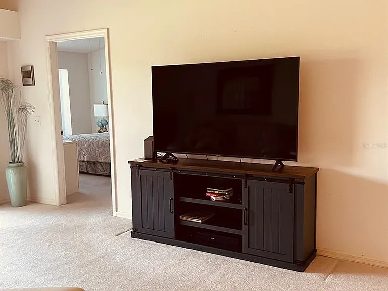 9641 Castle Point Dr #1225 — Photo 10
