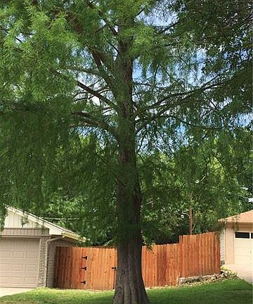 2nd image of 5463 Woodway Dr