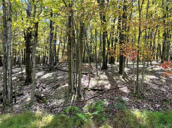 Brier Crest Rd, Blakeslee, PA 18610