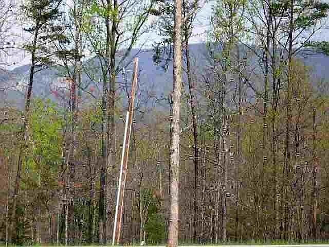 2nd image of 1131 Highway 11