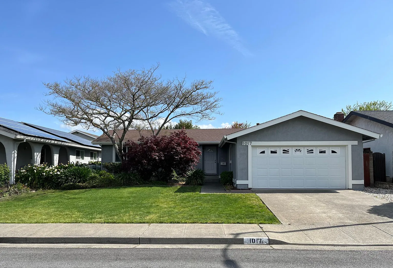 1017 Palmetto Way photo 1