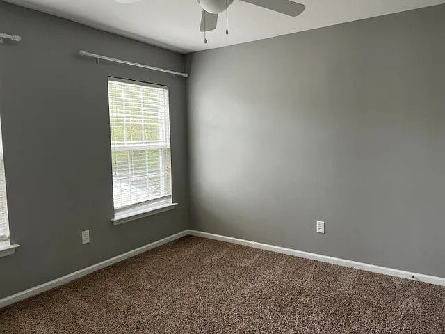 5007 Whitfield Ct — Photo 13