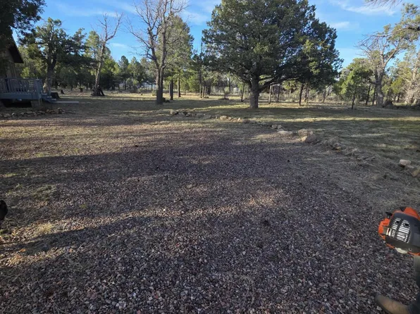 5823 COUGAR Drive, Happy Jack, AZ 86024