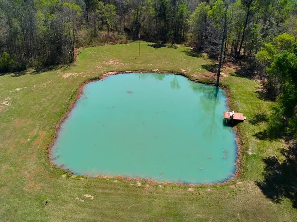 482 Maple Ridge Dr, Ray City, GA 31645