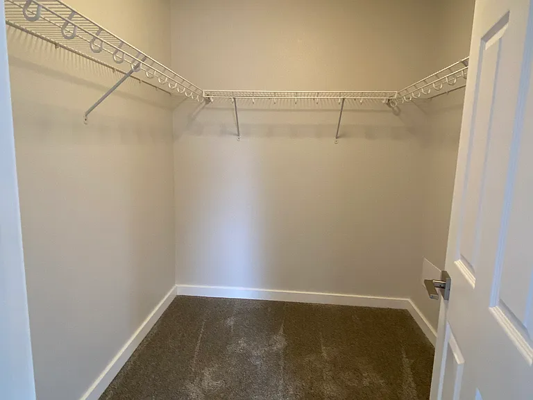11787 Black Maple Ln — Photo 10