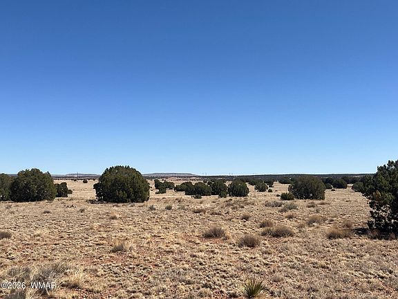 5th image of LOT 140 5525