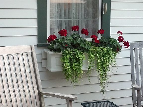 one of four window boxes