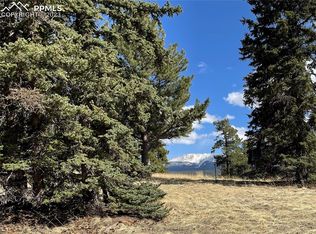 405 Silvermoon Hts, Divide, CO 80814