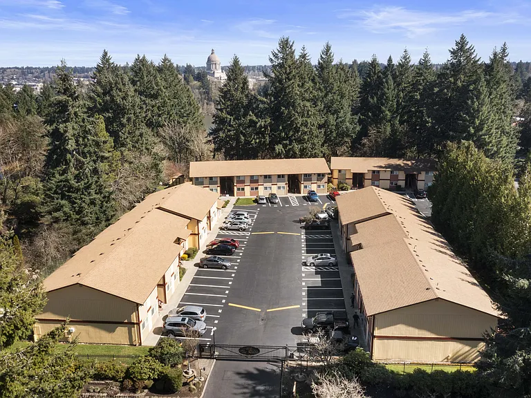 Drone View