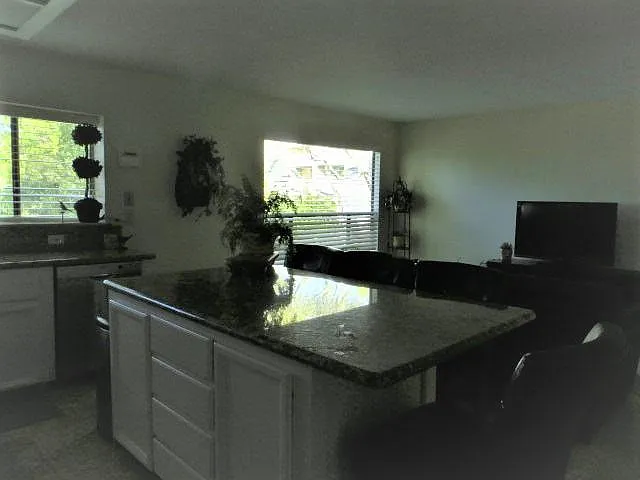 Kitchen and family room