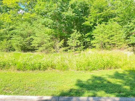 5th image of LOT 12 Cove Springs Dr