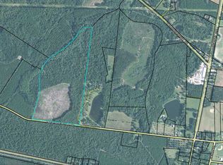 Hugh Brewton Rd, Bellville, GA 30417