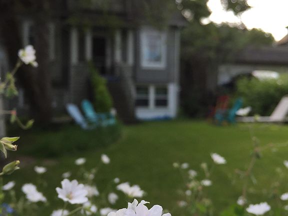 Spring and summer are perfection in Seattle