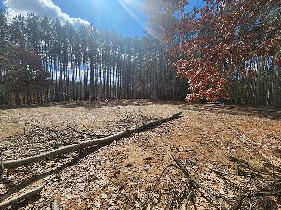 5th image of 8 Mile Rd