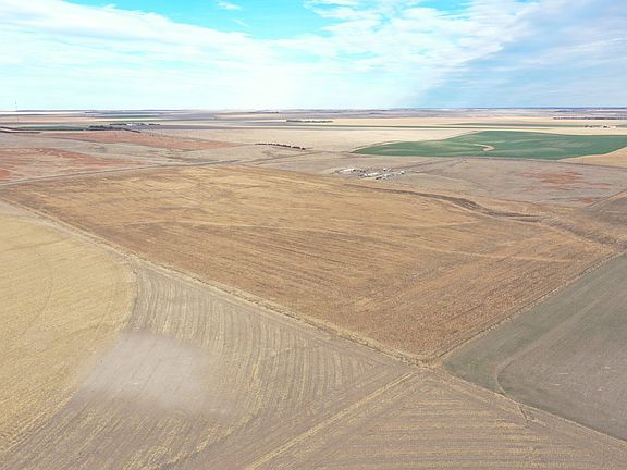 3rd image of Highway 61