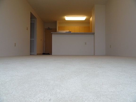 Living Room & Kitchen View