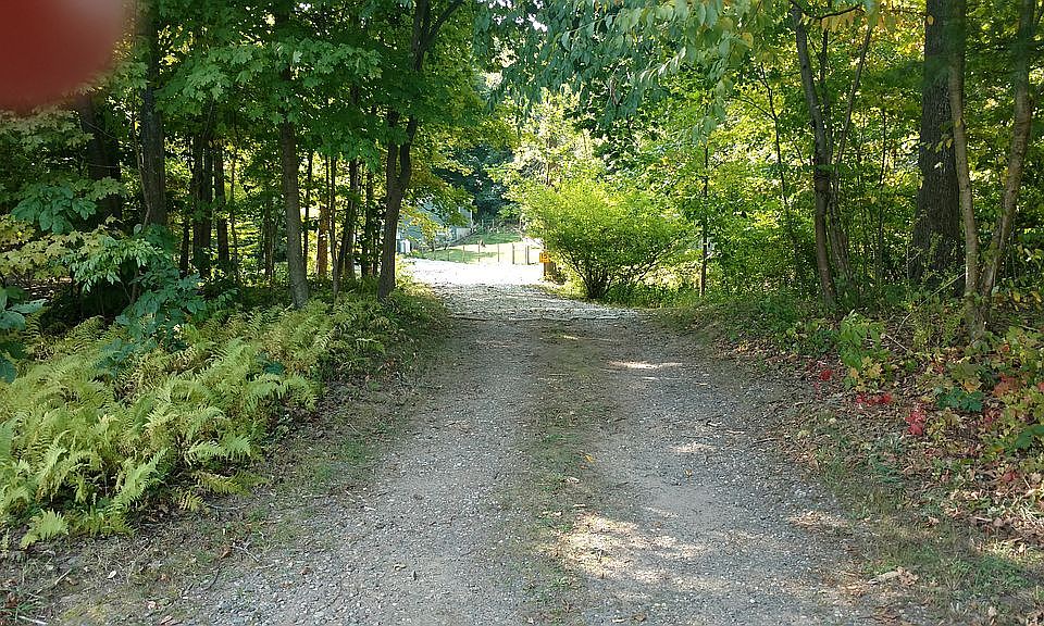 View from road