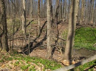 Cedar Rd, Hunting valley, OH 44124