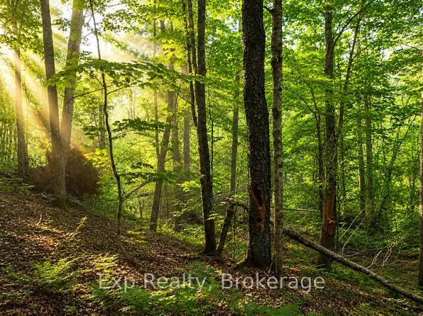LOT Contau Lake Rd, Highlands East, ON K0M 2A1