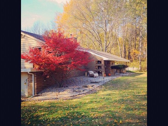  4209 Pine Tree Lane acres