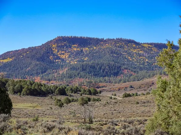 X Tall Pines Place, Pagosa Springs, CO 81147