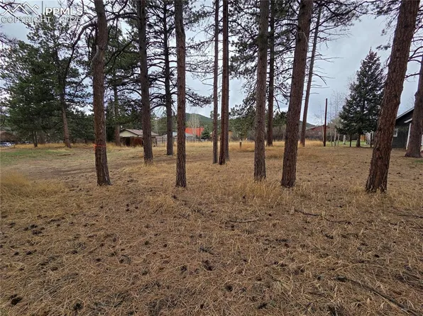 224 S Fairview St, Woodland Park, CO 80863
