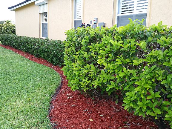 5th image of 12851 Allendale Cir